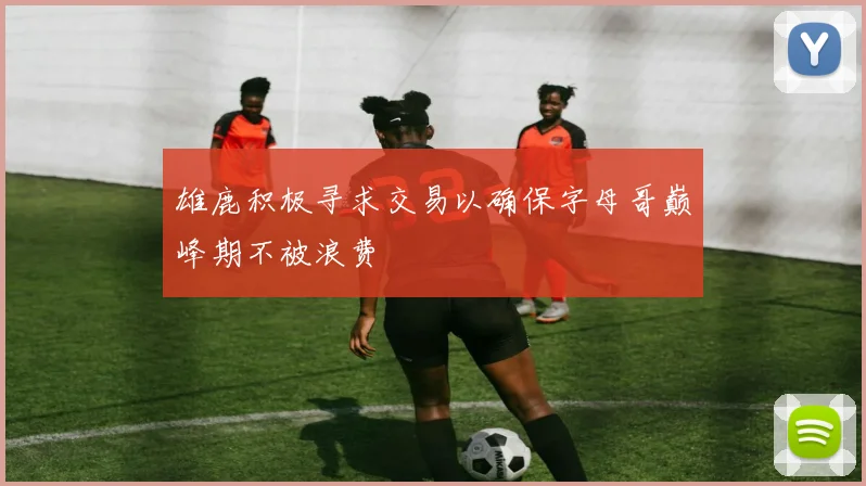 雄鹿积极寻求交易以确保字母哥巅峰期不被浪费