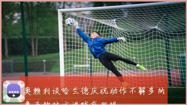 奥赖利谈哈兰德庆祝动作不解多纳鲁马称对方进球有犯规