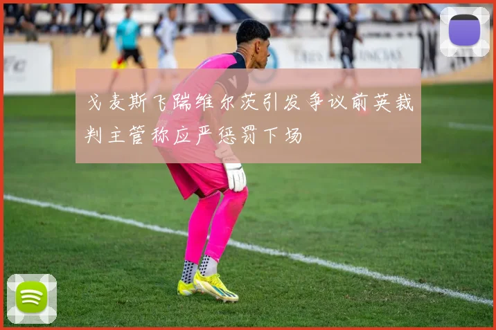 戈麦斯飞踹维尔茨引发争议前英裁判主管称应严惩罚下场